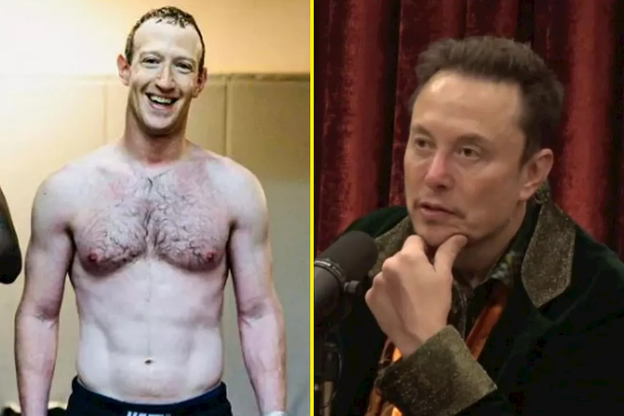 – Elon Musk tells Joe Rogan why fight between him and Mark Zuckerberg is a mismatc...