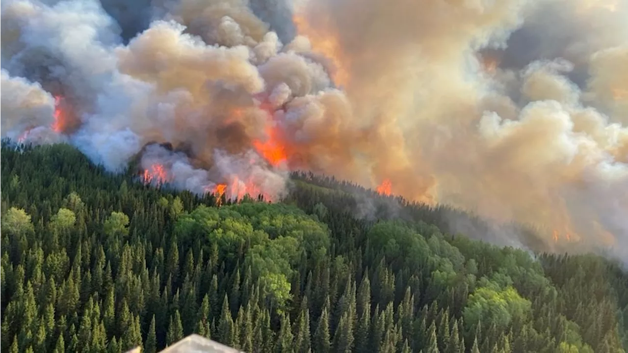 Busier forest fire season, but little impact for inhabited areas