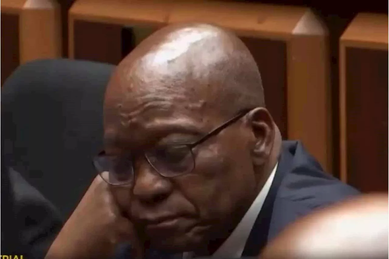 Zuma’s private prosecution of Downer and Maughan back in court