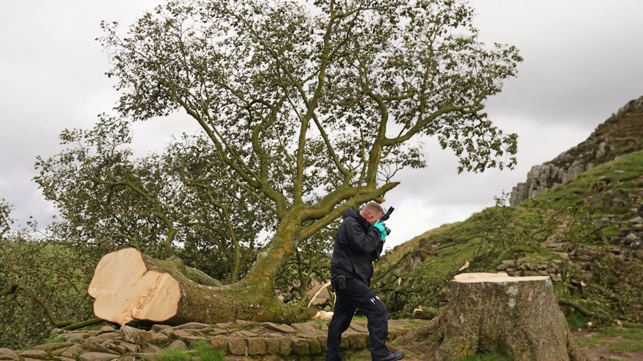 How storms are given names, full list for 2023 and when Storm Ciarán will hit the UK