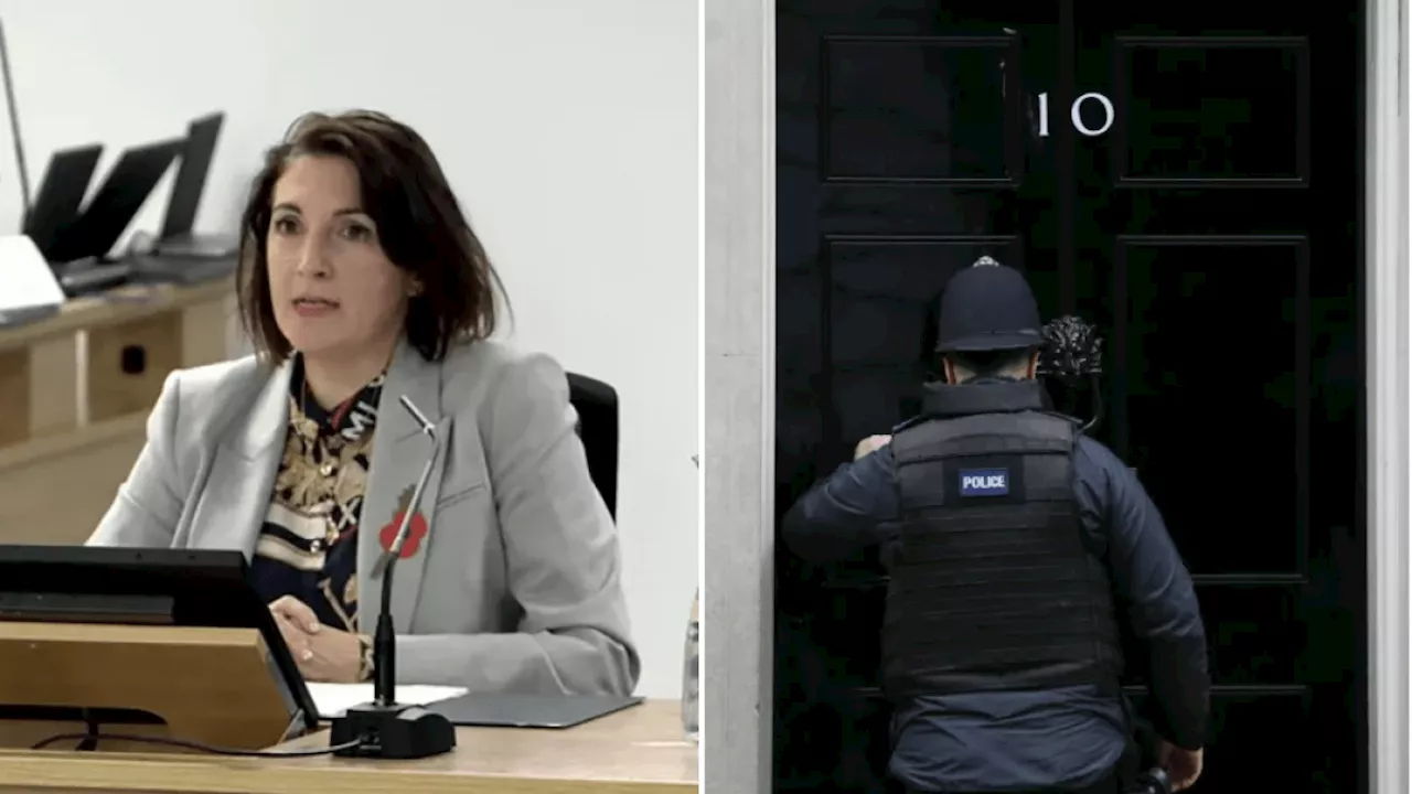 ‘Macho’ culture of misogyny and bullying in Downing Street hampered Covid response, inquiry hears