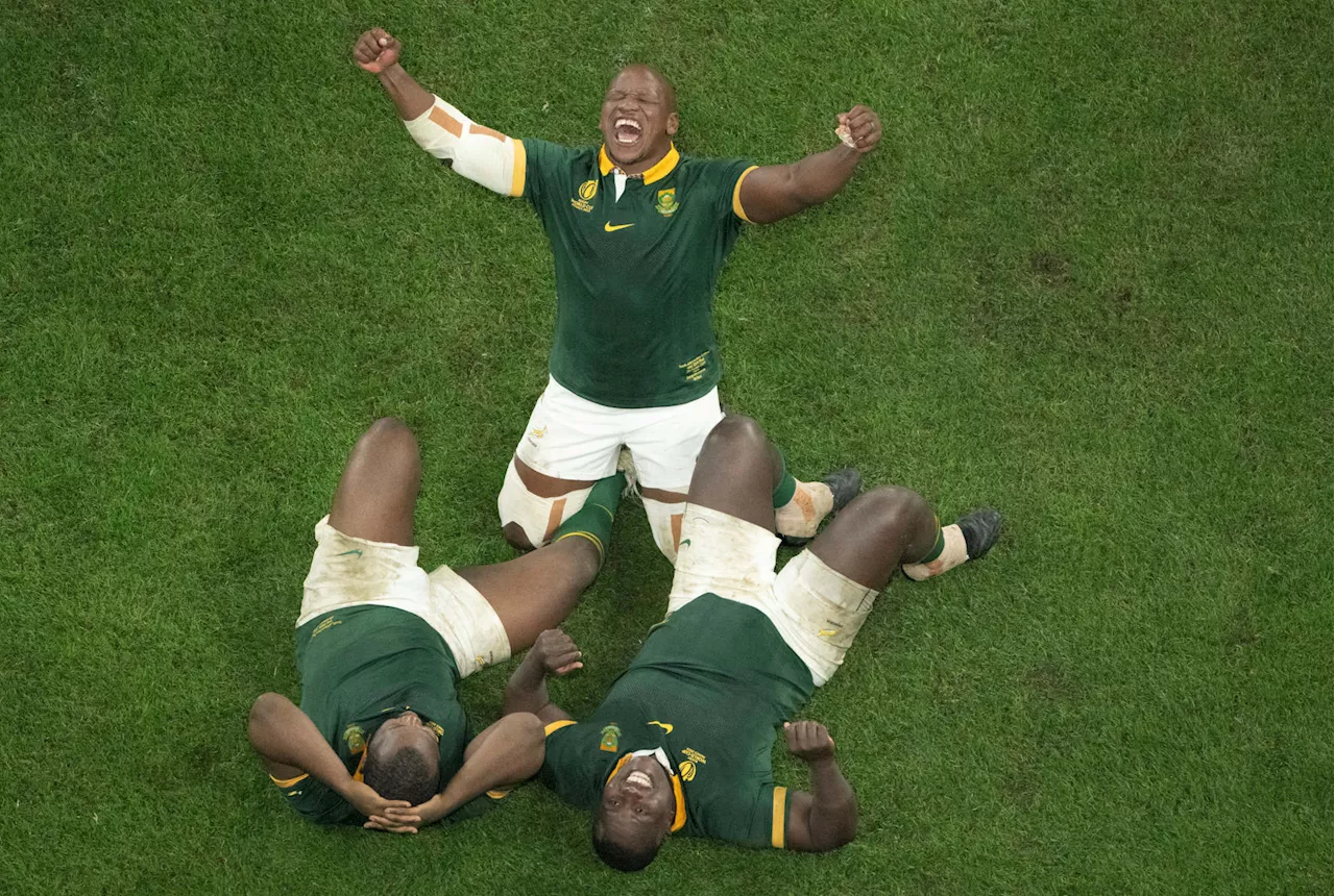 When will the World Champion Springboks play again?
