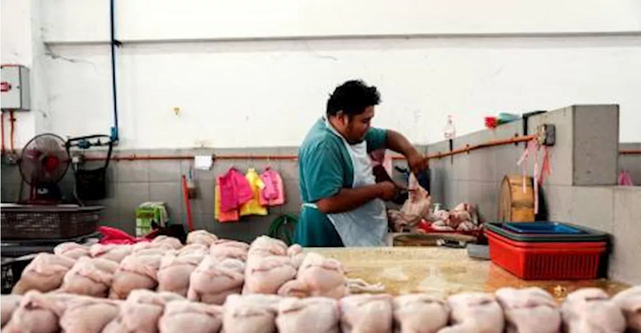 Tiada caj pemotongan ayam di Melaka selepas pengapungan harga