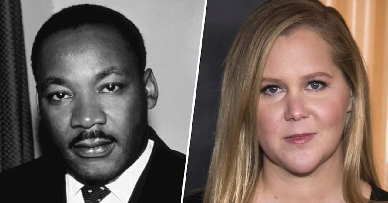 Amy Schumer Gets Martin Luther King Jr. Post Response By Bernice King