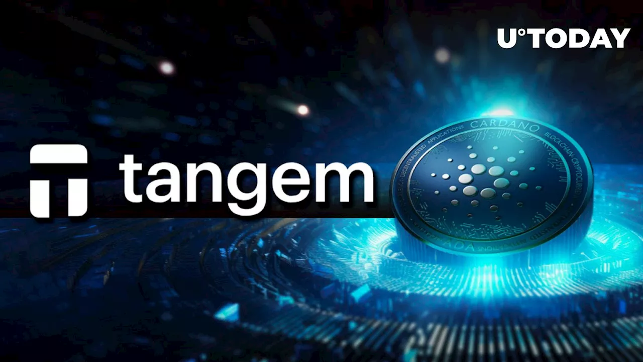 Tangem Ring Hardware Wallet Debuts at Cardano Summit: What to Know