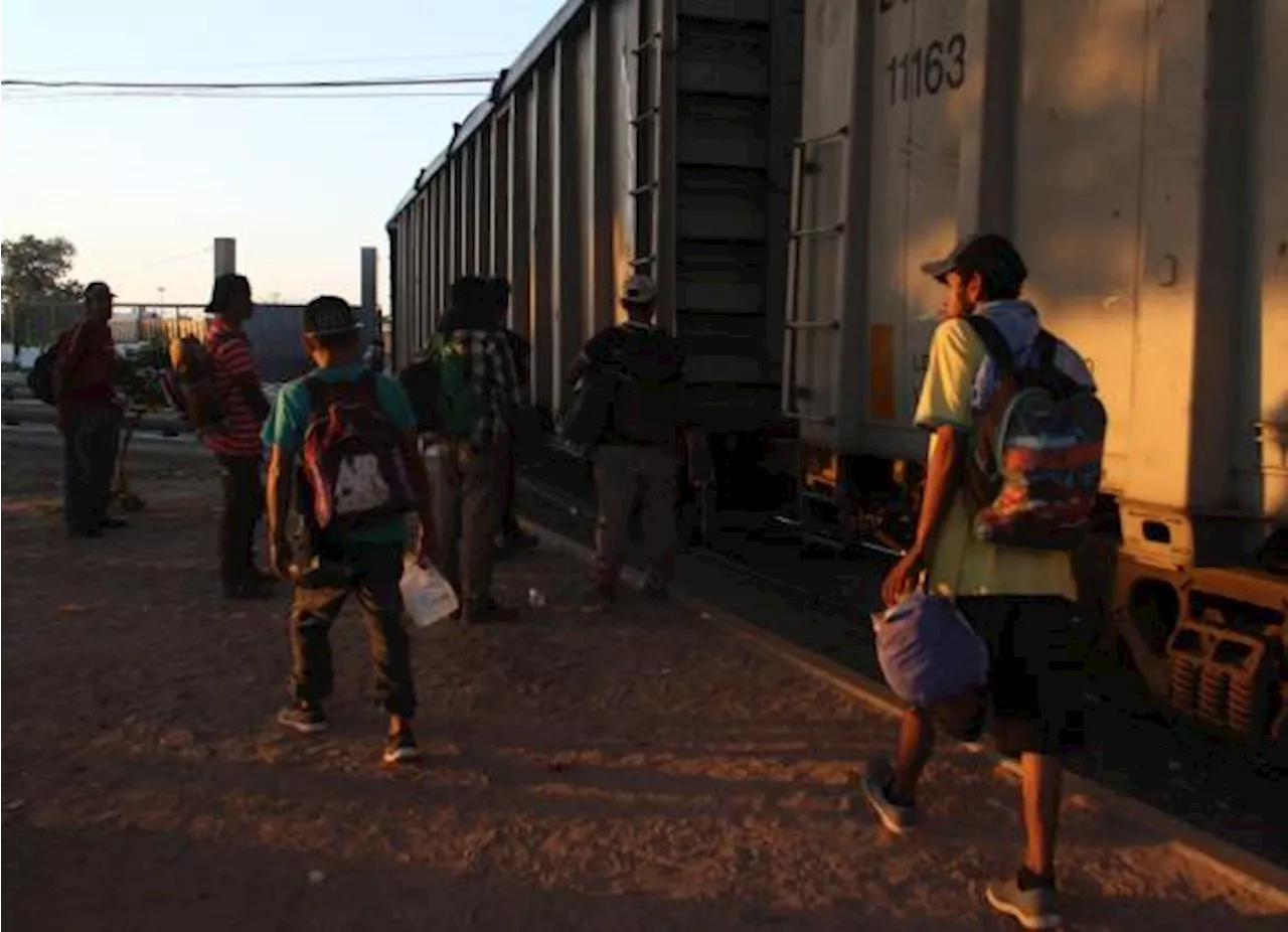 Autoridades impiden que casi 35 mil migrantes usen trenes de carga para llegar a EU