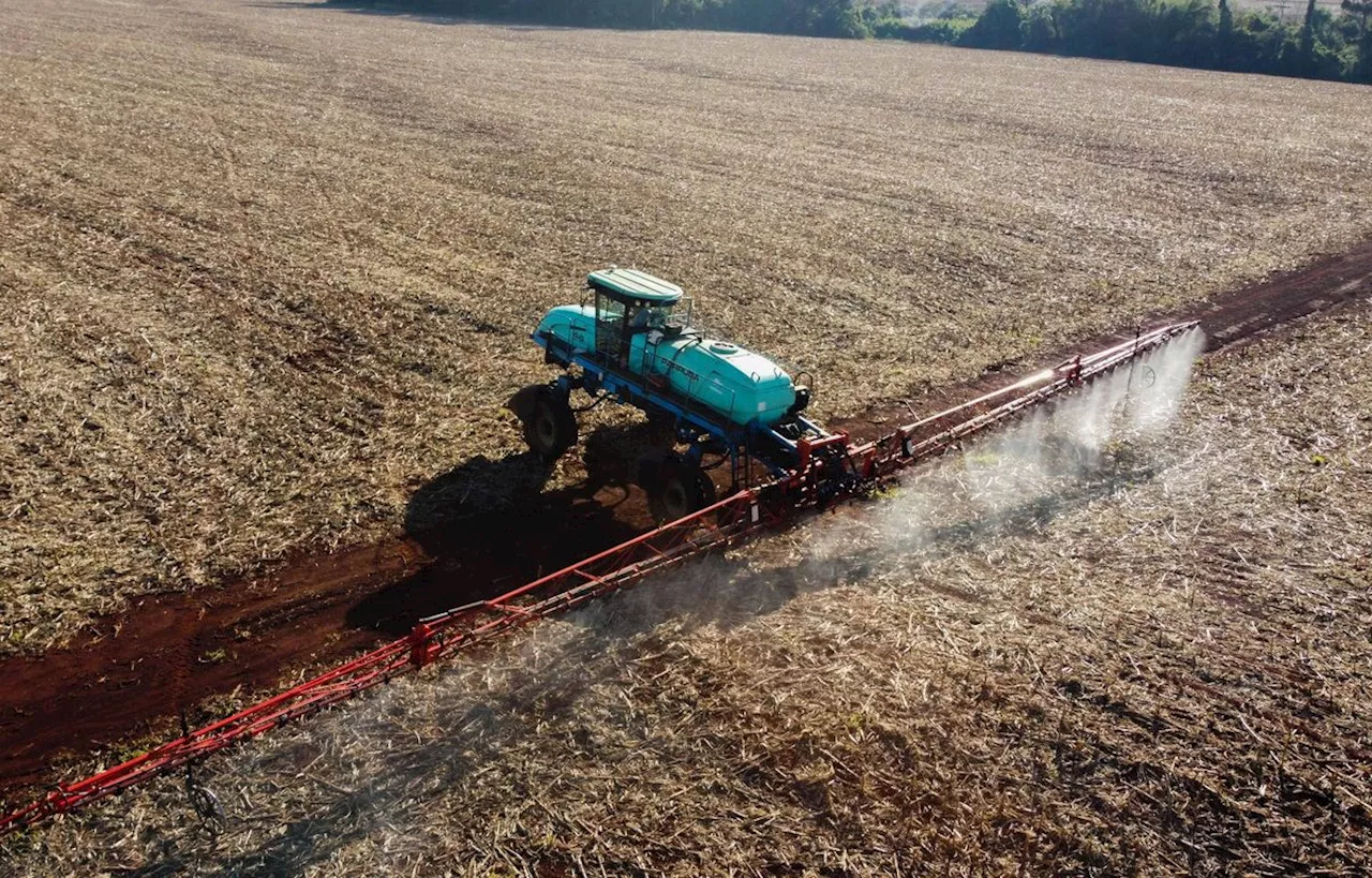 Polluants éternels : Deux ONG alertent sur leur présence parmi les pesticides autorisés en Europe