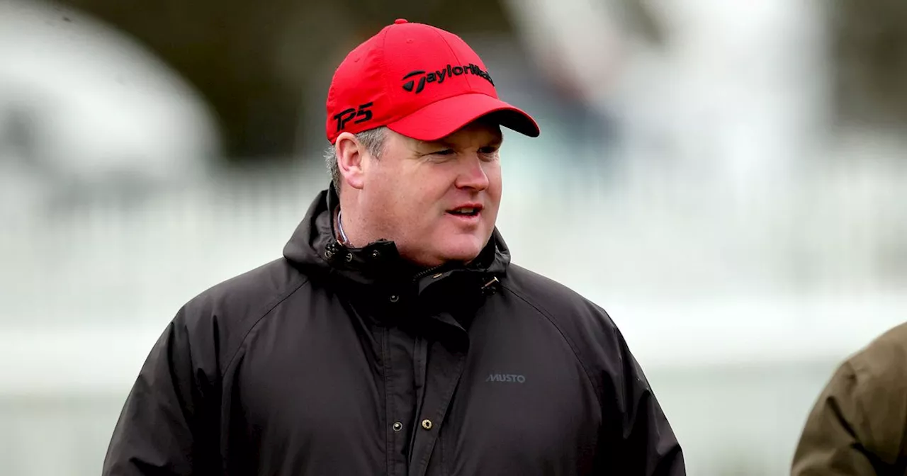 Gordon Elliott's Dominance at Ladbrokes Festival of Racing