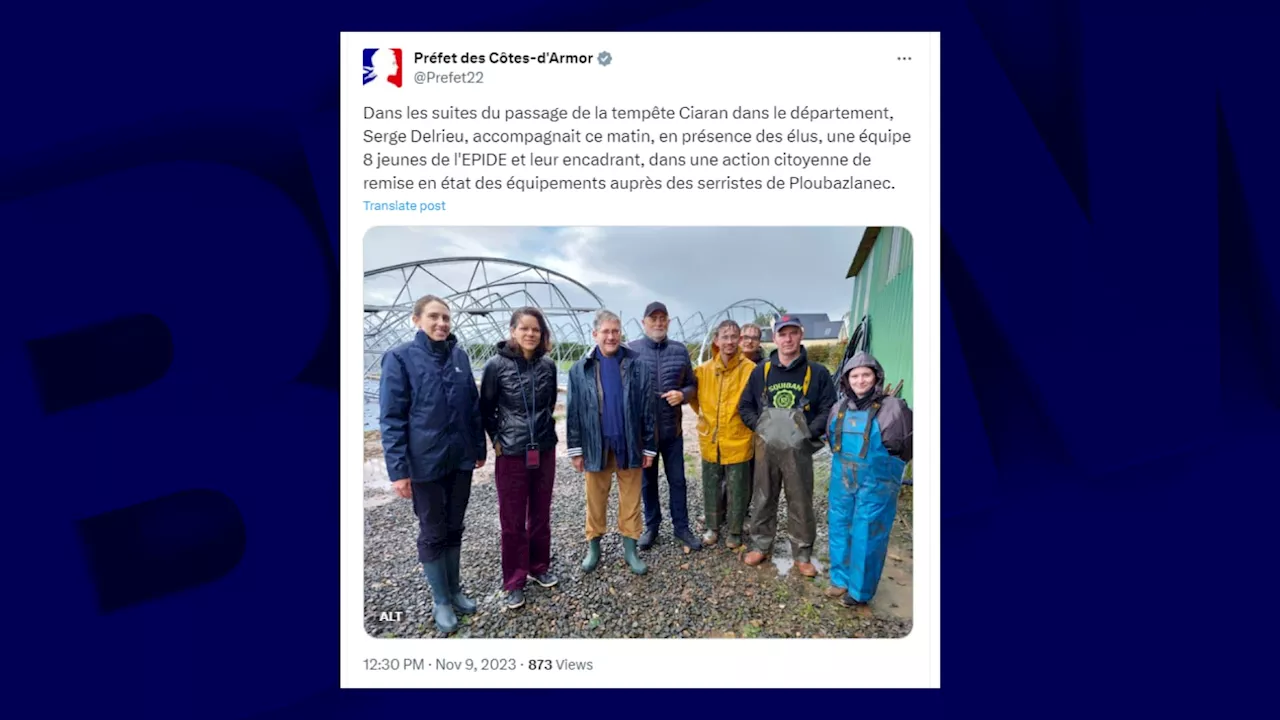 Tempête Ciaran: en Bretagne, des jeunes en décrochage scolaire viennent en aide à des maraîchers