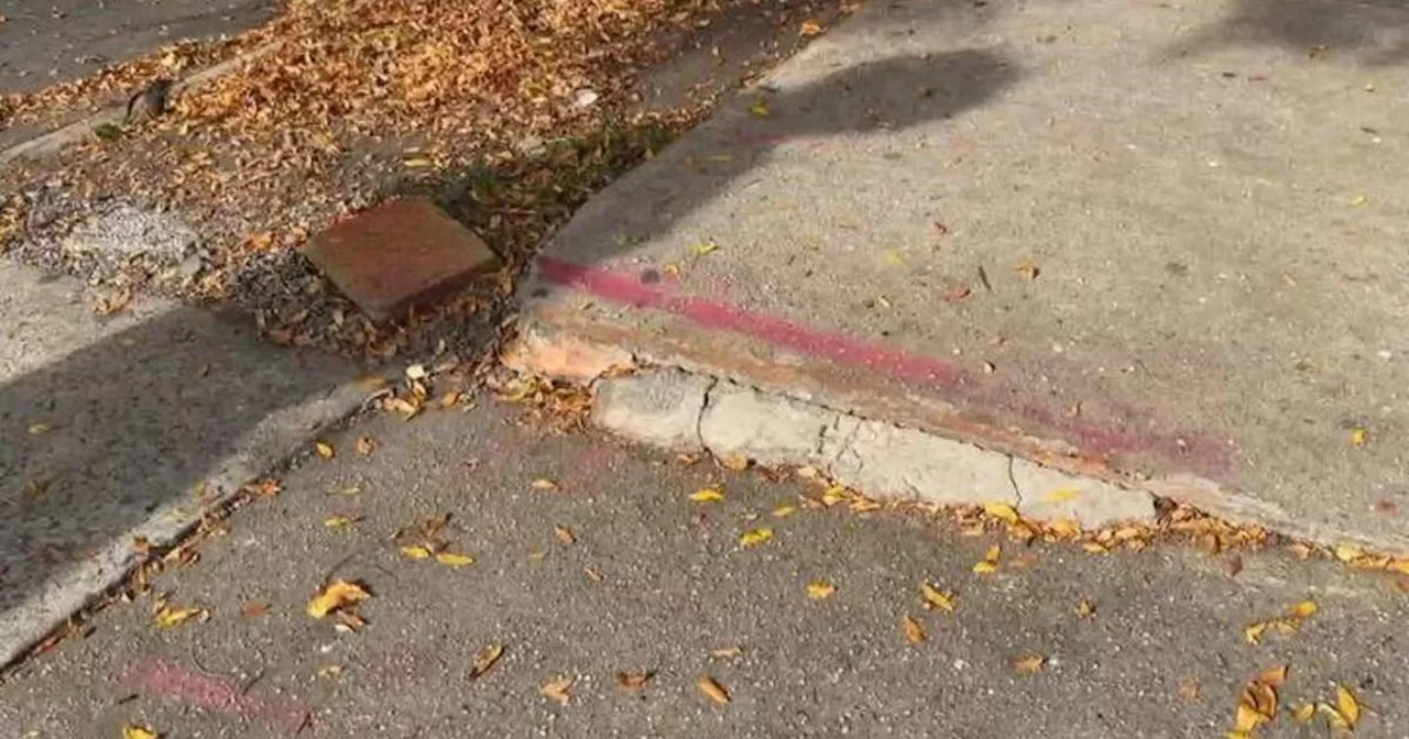 Sidewalk Hazards Pose Safety Concerns in Richmond Hill