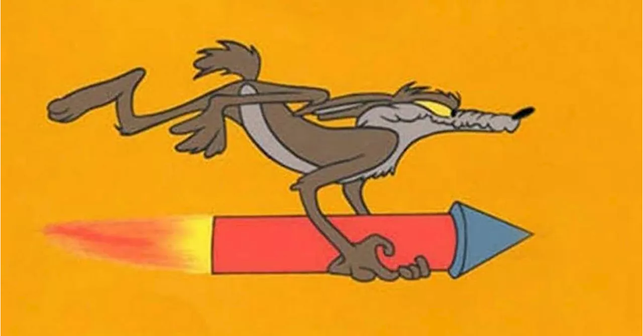 Coyote vs. Acme Director Breaks Silence on Warner Bros. Shelving Movie