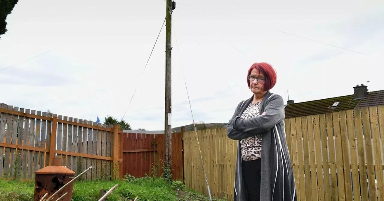 Pensioner Faces £1,000 Bill to Move Telecom Mast Wires in Garden