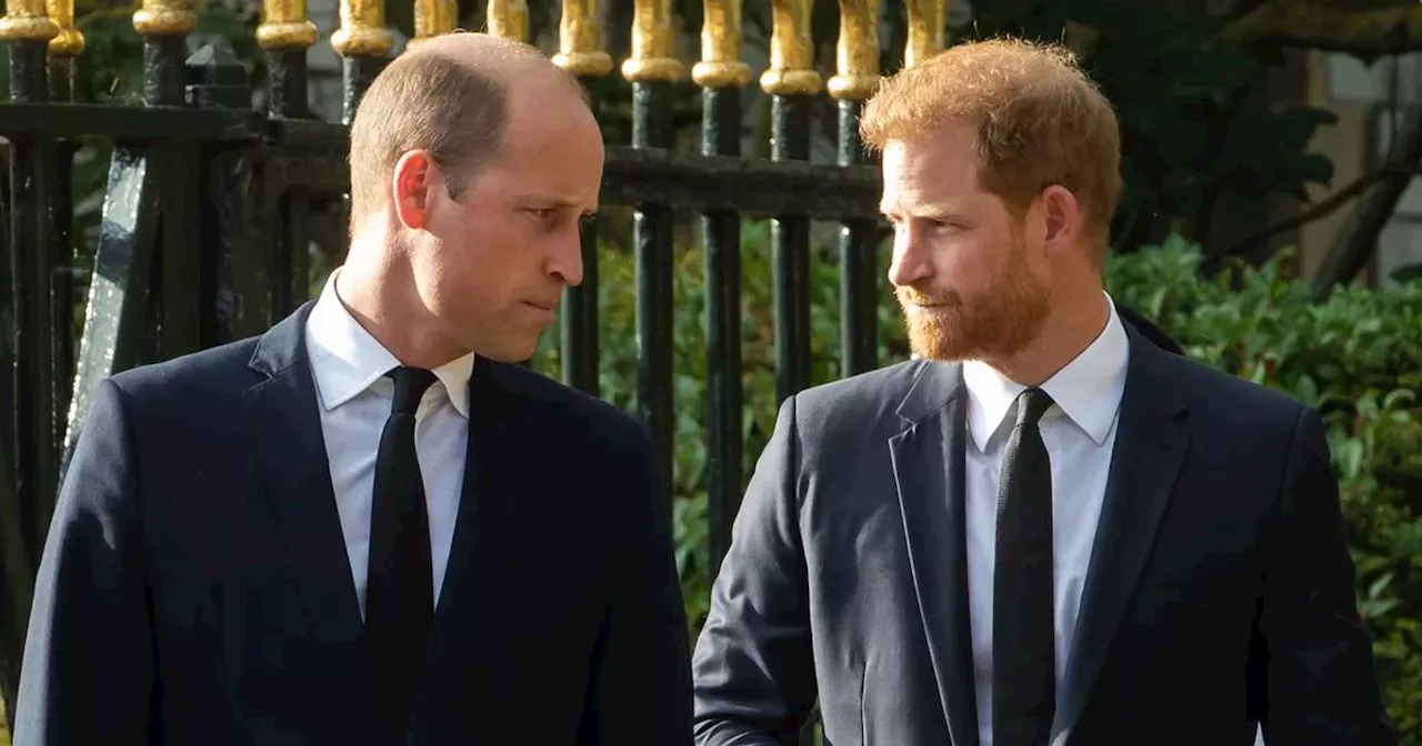 Prince William and Prince Harry's Feud Started Over Food, Claims Former Butler