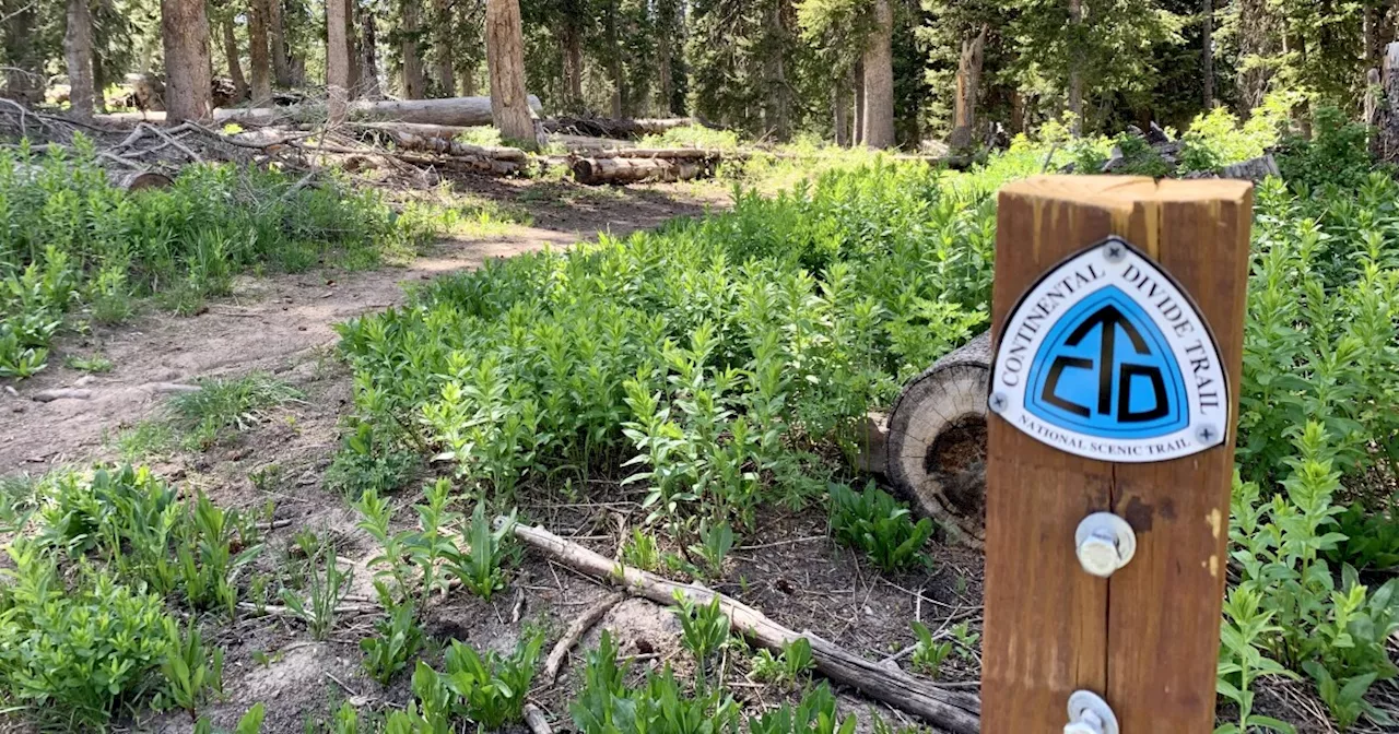 Continental Divide Trail, with 800 miles through Colorado, turns 45 years old Friday