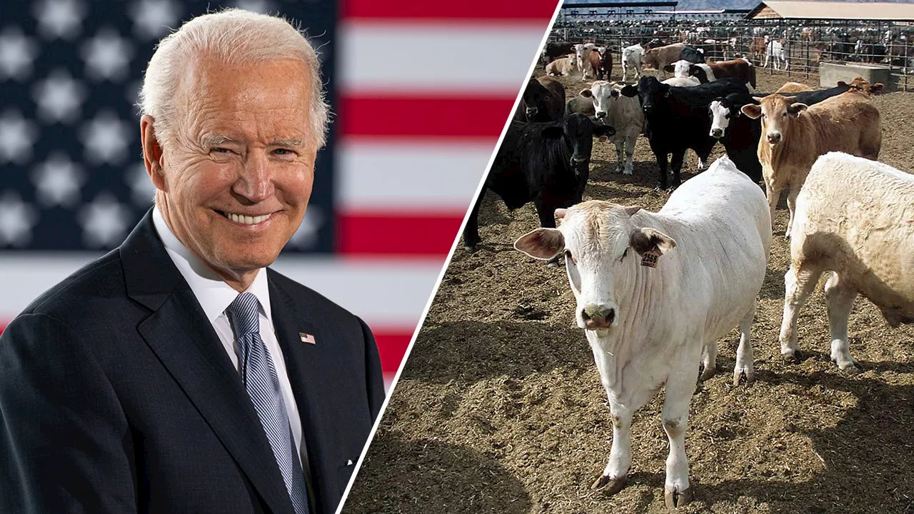 Biden admin under fire for opening borders to food imports potentially containing devastating disease