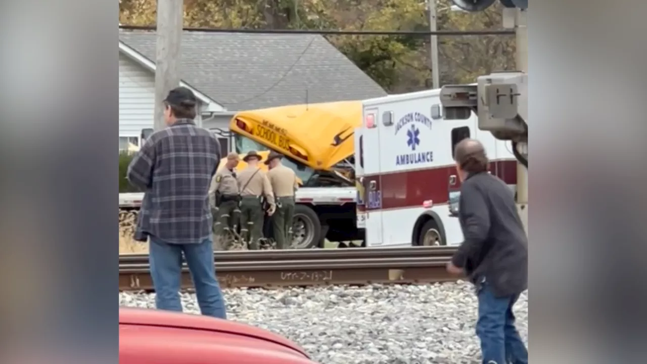 School Bus Crash in Illinois Leaves Four Students and Driver Injured