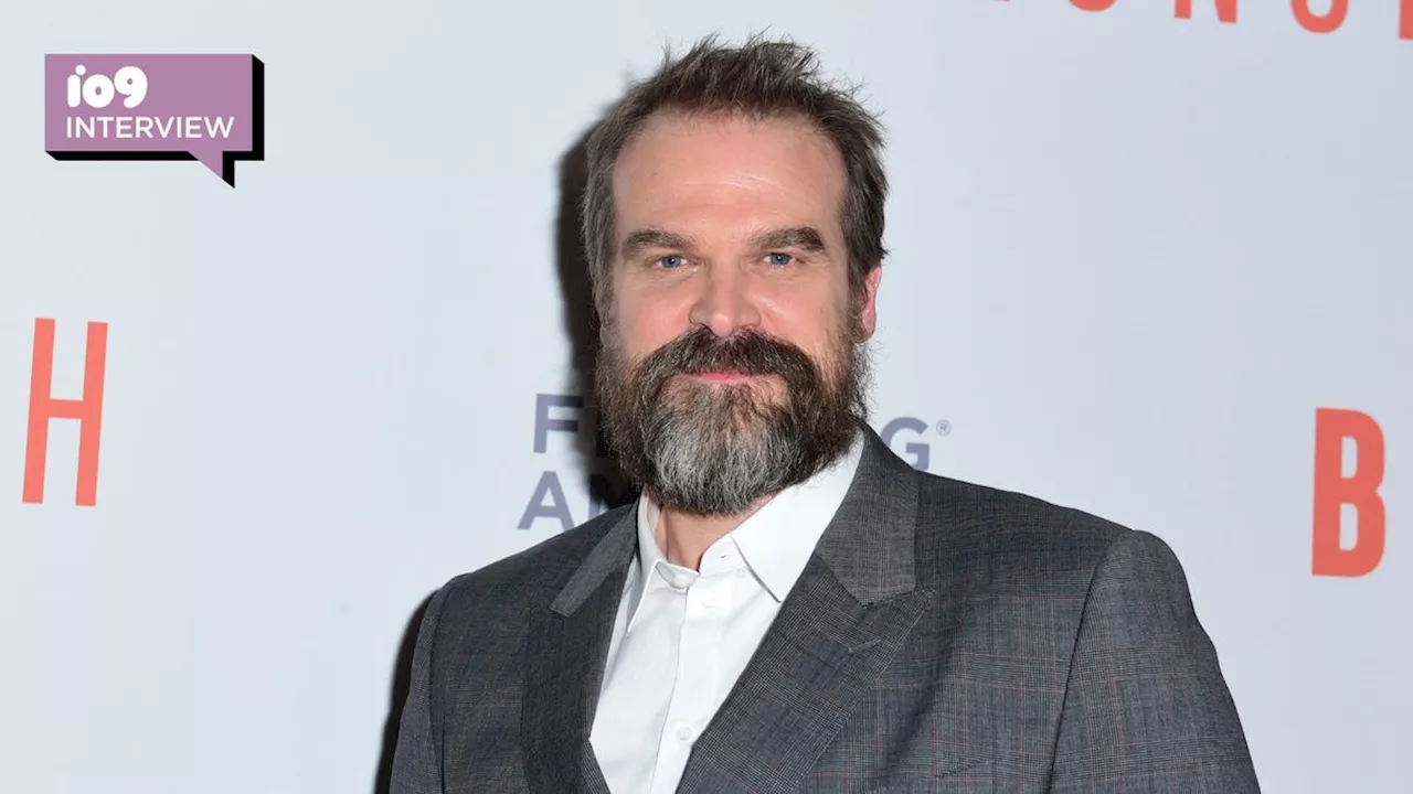 David Harbour Talks About His Future Projects at BoxLunch Holiday Gala