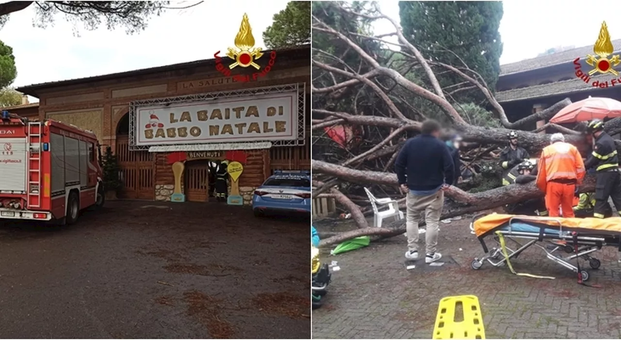 Montecatini Terme, cade pino e travolge Baita di Babbo Natale: 7 feriti