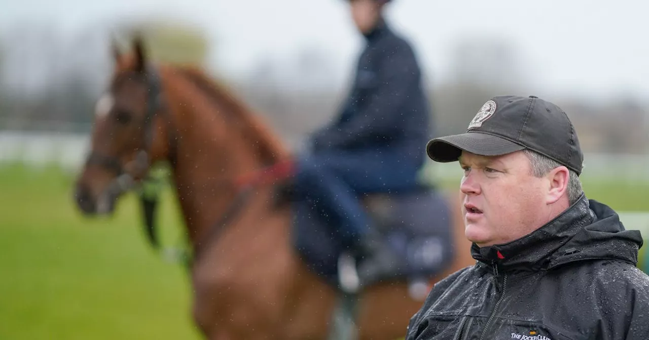 Gordon Elliot's Historic Six-Timer at Down Royal Races