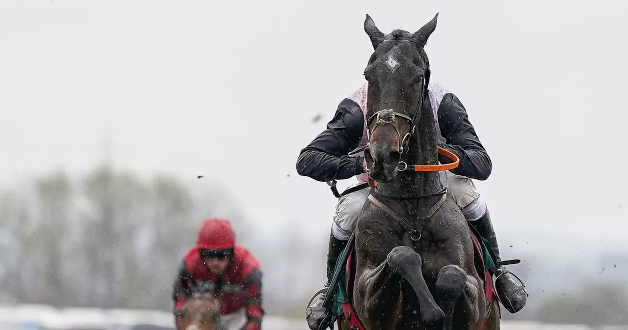 Ireland's Top Trainers Face Off in Ladbrokes Champion Chase