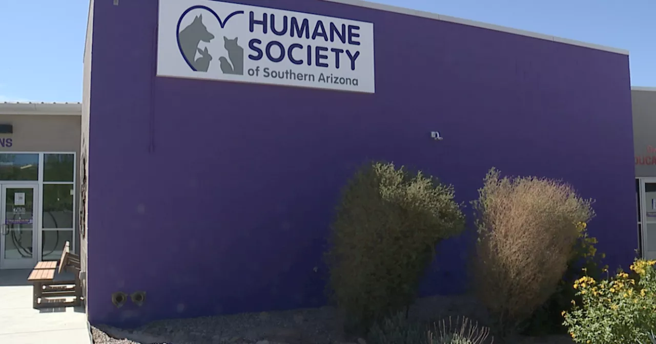 Small Animals Transferred to Tucson May Have Been Processed as Reptile Food