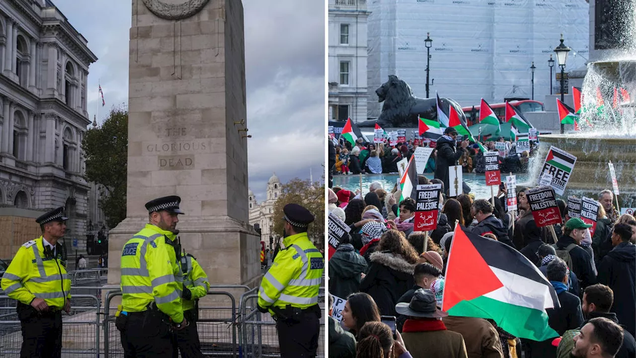 Controversial Gaza protest to go ahead on Remembrance Day