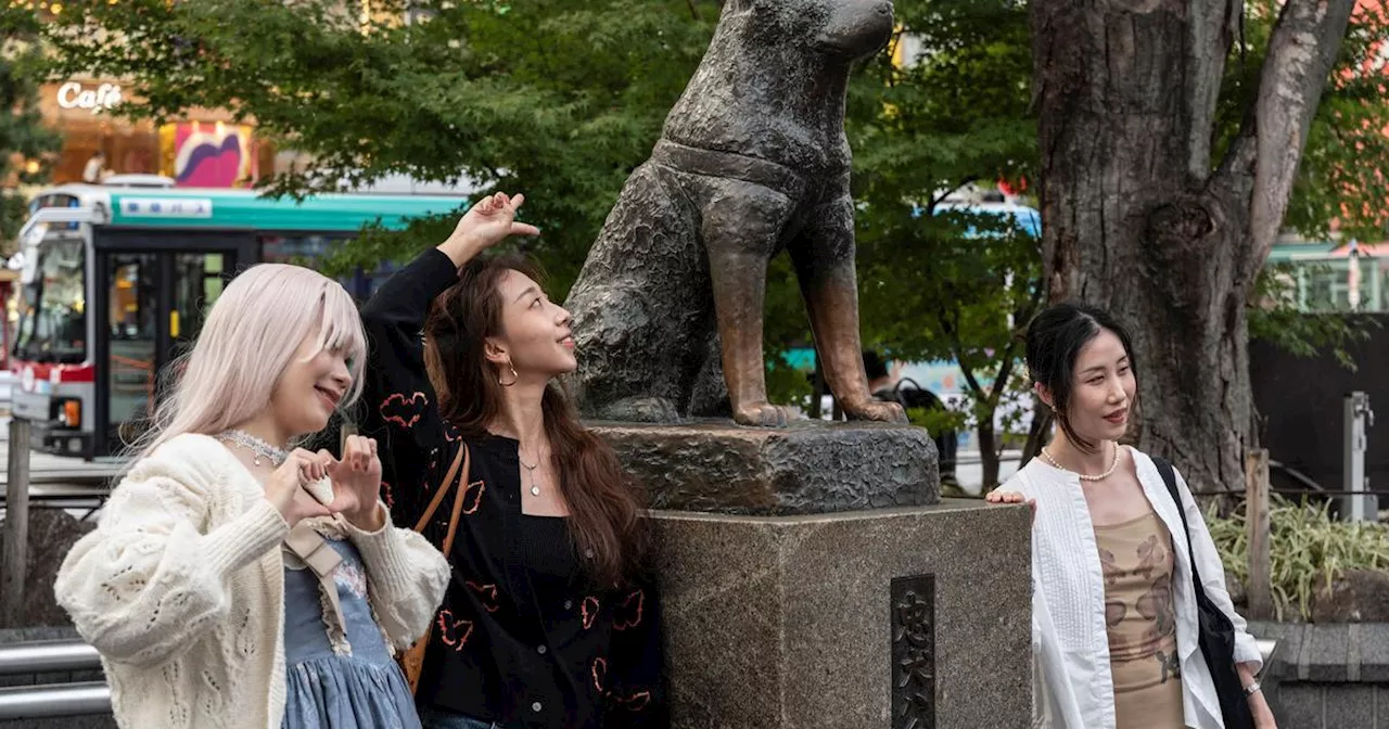 Le Japon célèbre les 100 ans de la naissance de Hachiko, le chien symbole de loyauté