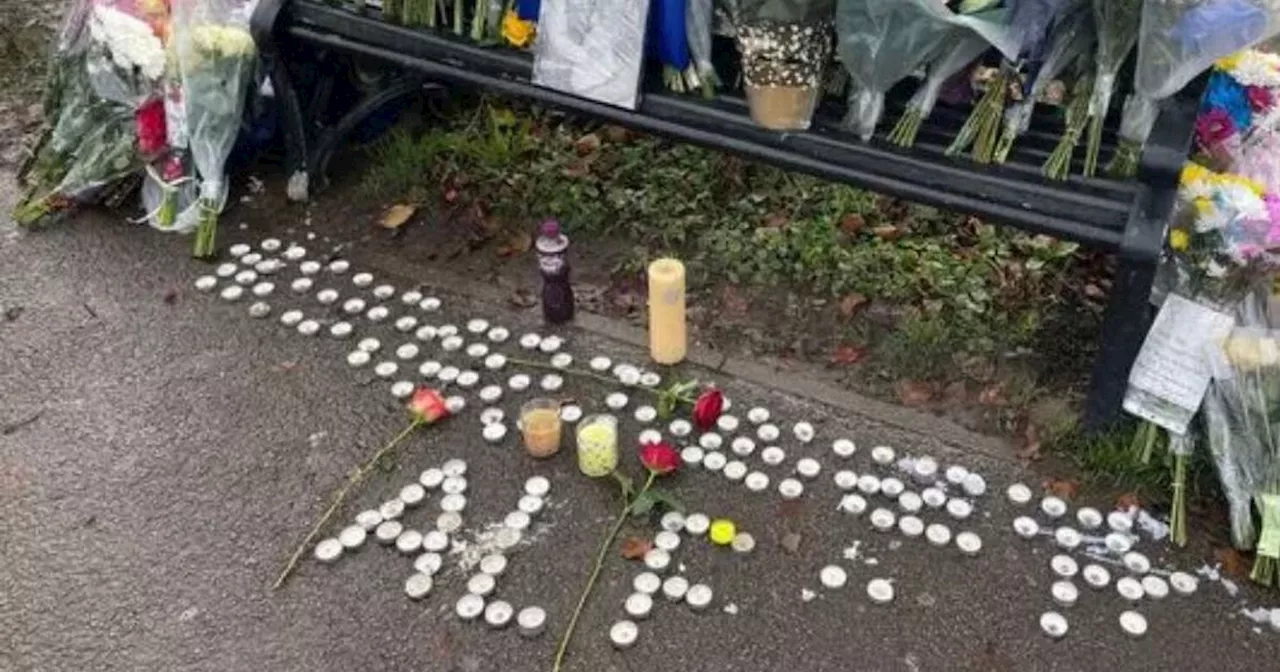 14-Year-Old Boy Charged with Murder of Alfie Lewis Appears in Leeds Crown Court