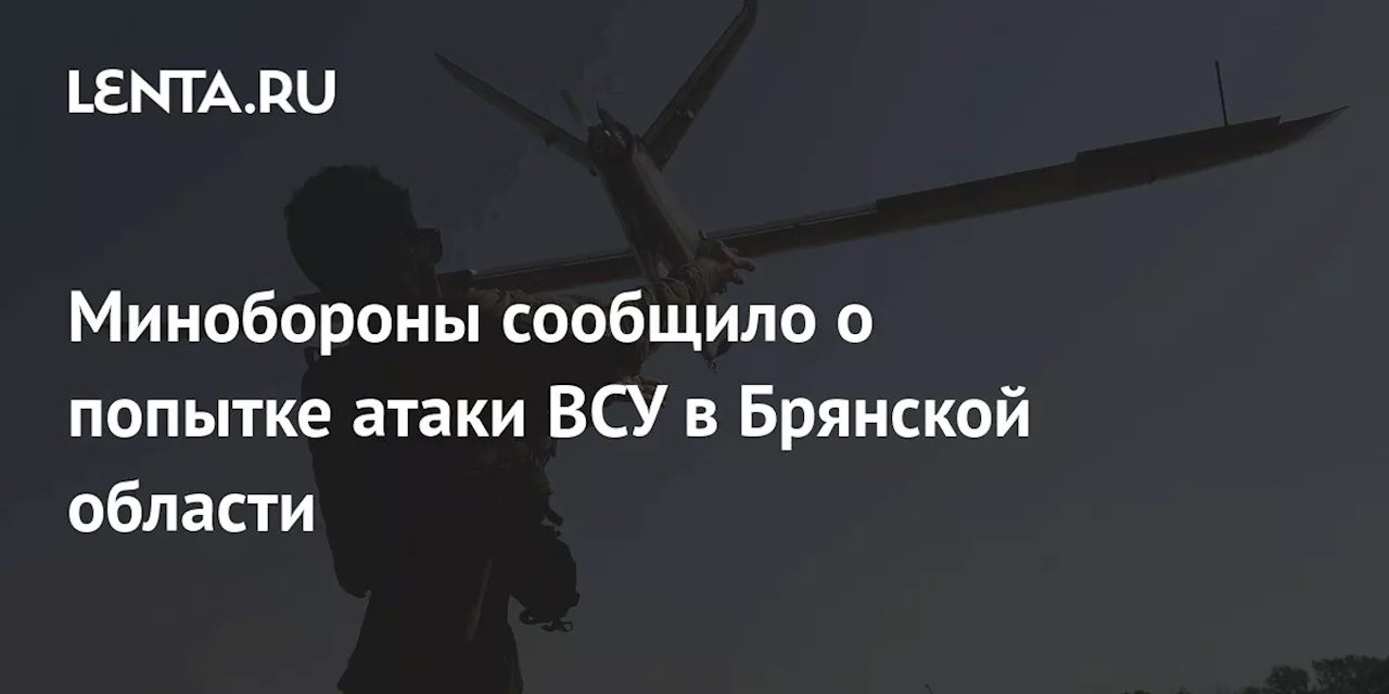 Российские войска пресекли попытку атаки ВСУ в Брянской области