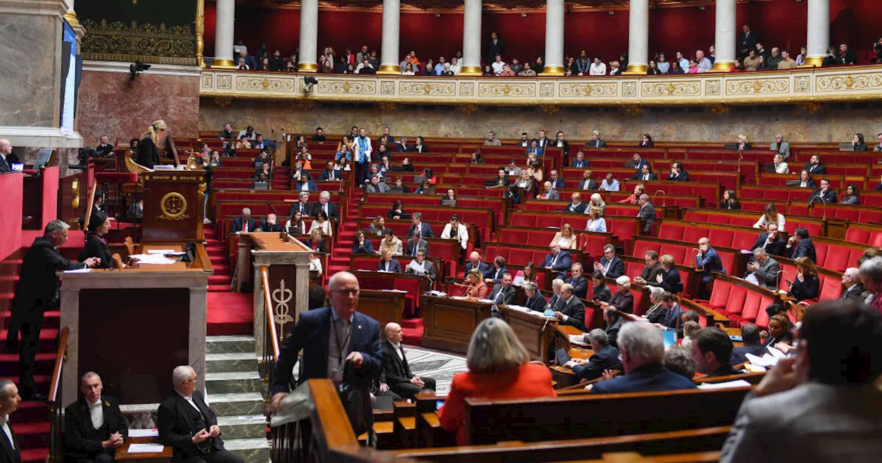 « Rien ne serait pire que l’oubli » : les images des attaques terroristes du Hamas en Israël projetées à l’Assemblée nationale