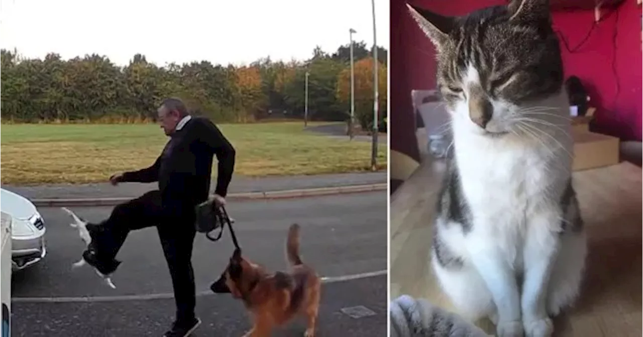 Dog-walker caught on door camera kicking cat gets community service