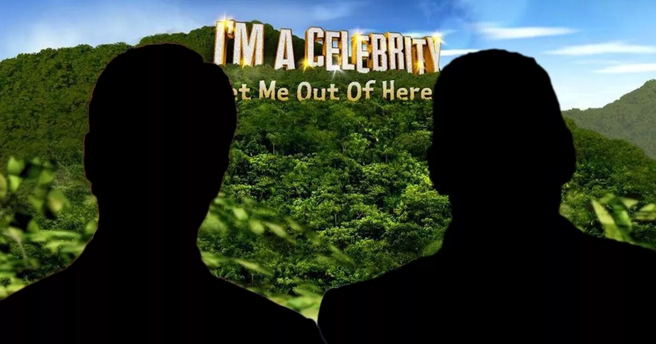 Explosive Feud Between I'm A Celebrity Campmates Sparks Debate