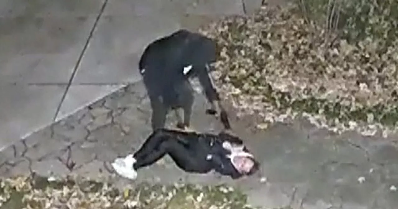 Video shows family carjacked at gunpoint in Chicago driveway