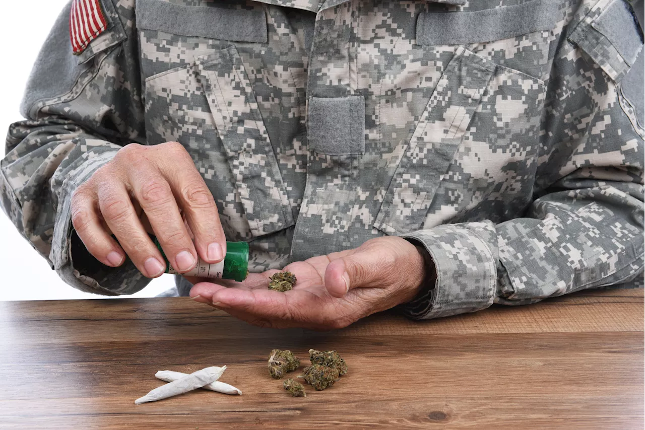 Access to Medical Cannabis for Veterans: Falling Short in Paying Them Back