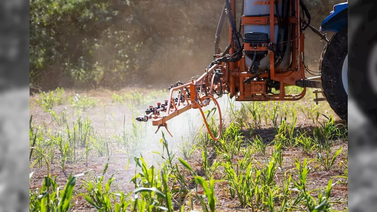 Governo anuncia novas normas para acelerar registros de agrotóxicos no Brasil