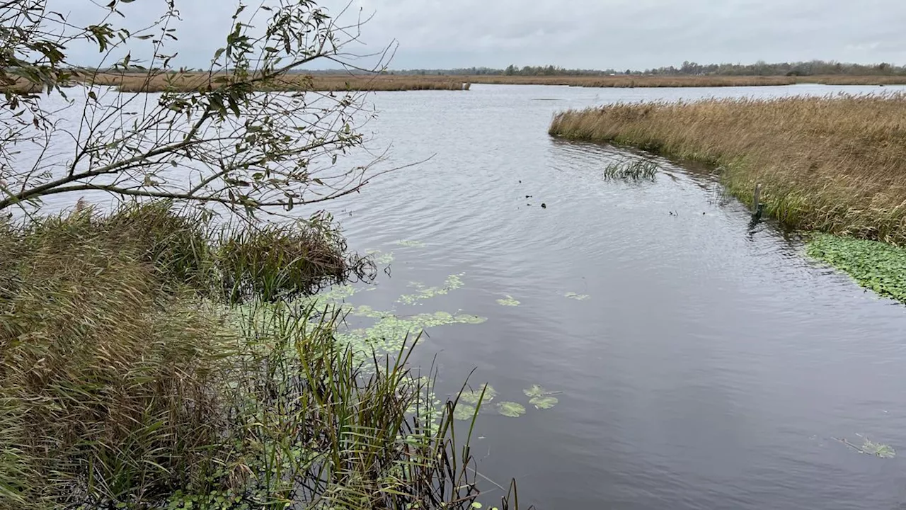 Natuurgebied De Onlanden waterberging capaciteit verhoogd