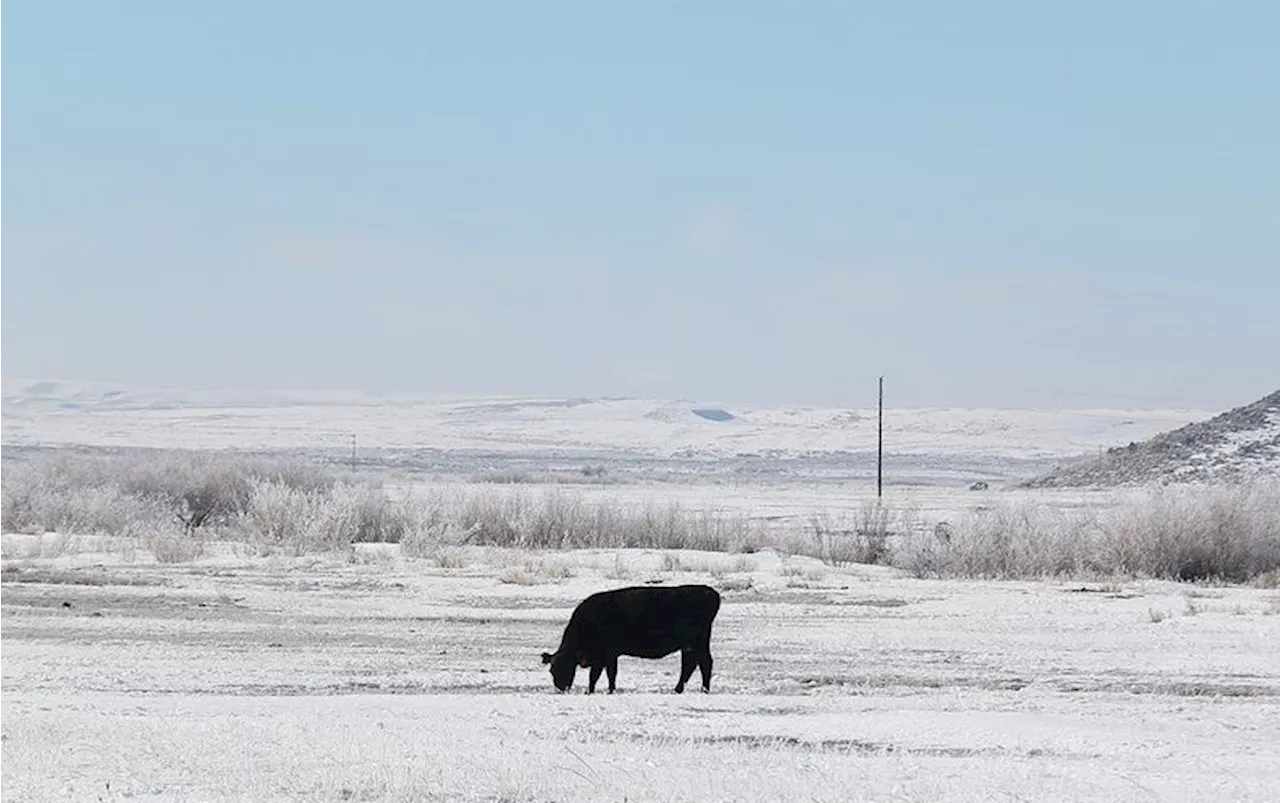 Farmers' Almanacs: A Trusted Source for Weather Forecasting