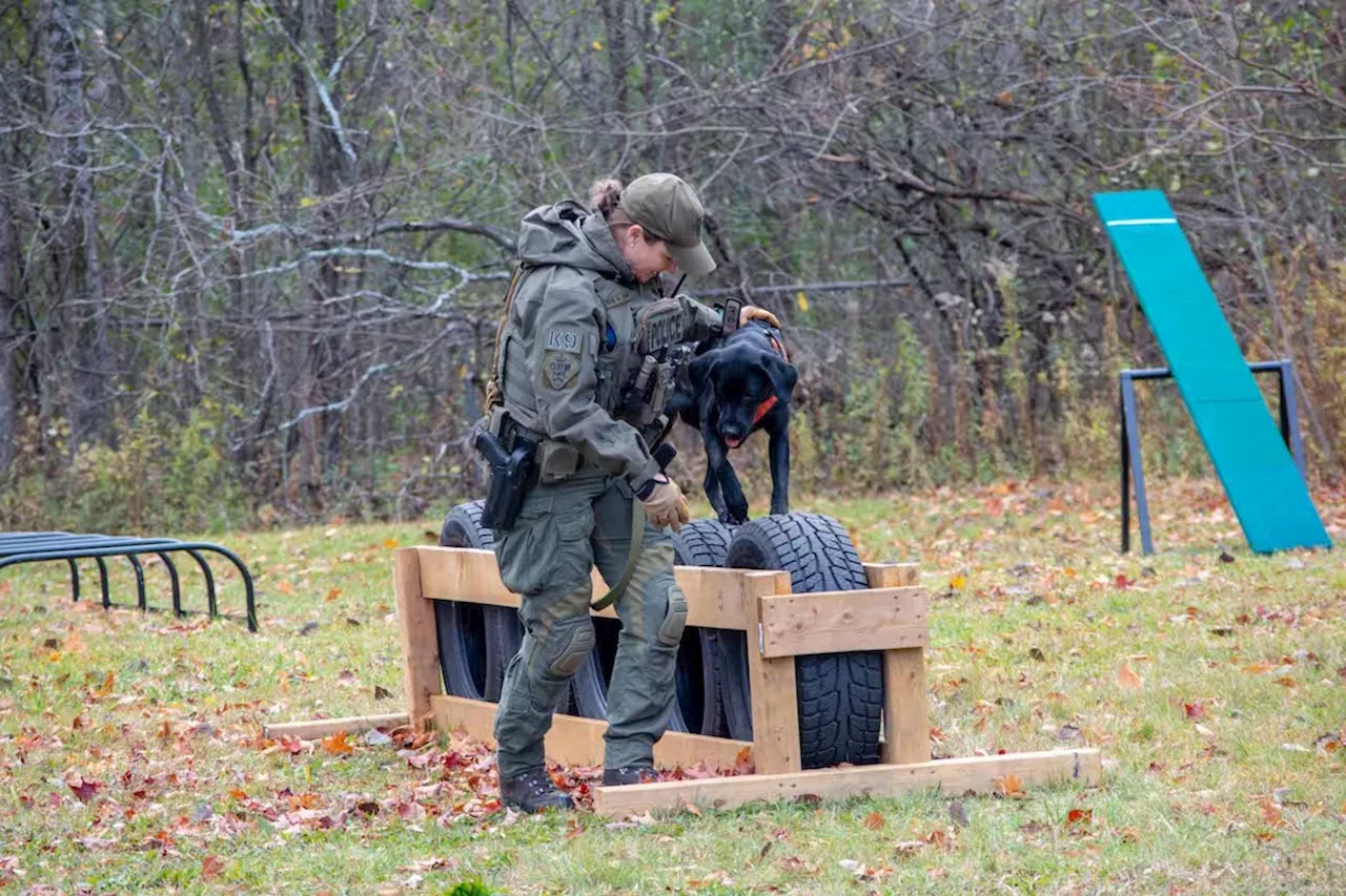 Top dogs: OPP canine unit wows students at calendar launch