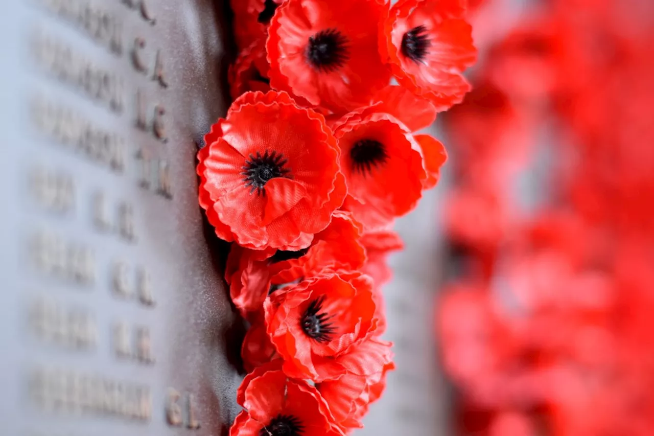 Revealing hidden stories on this Remembrance Day