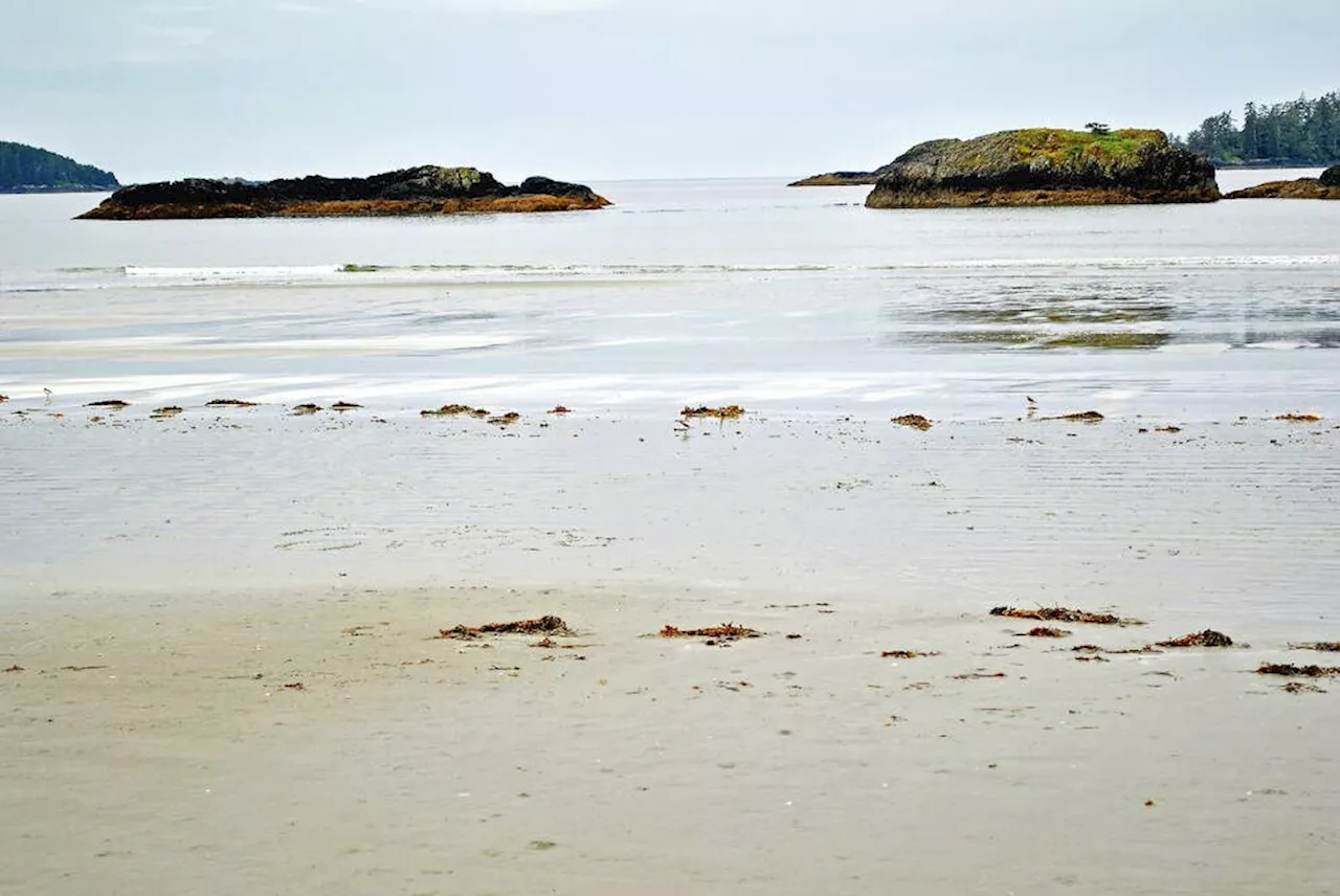 Tofino-area First Nation Calls for Indigenous Name Restoration of Mackenzie Beach