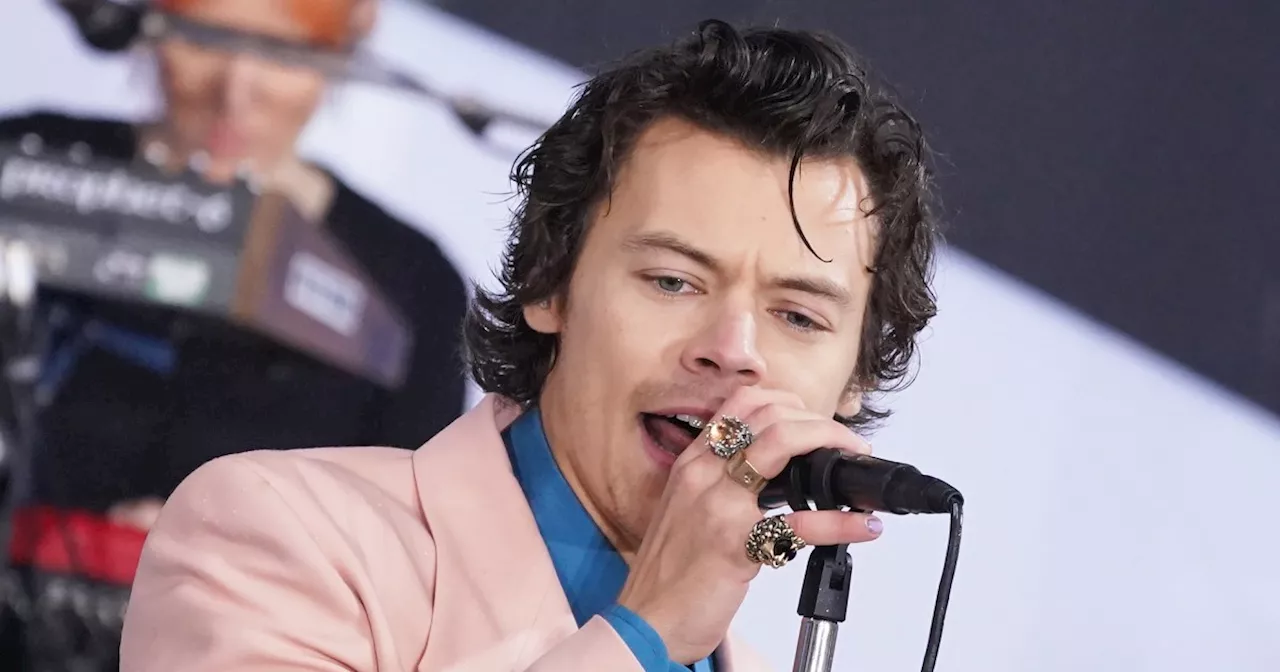 Harry Styles' Hair Evolution, A Timeline