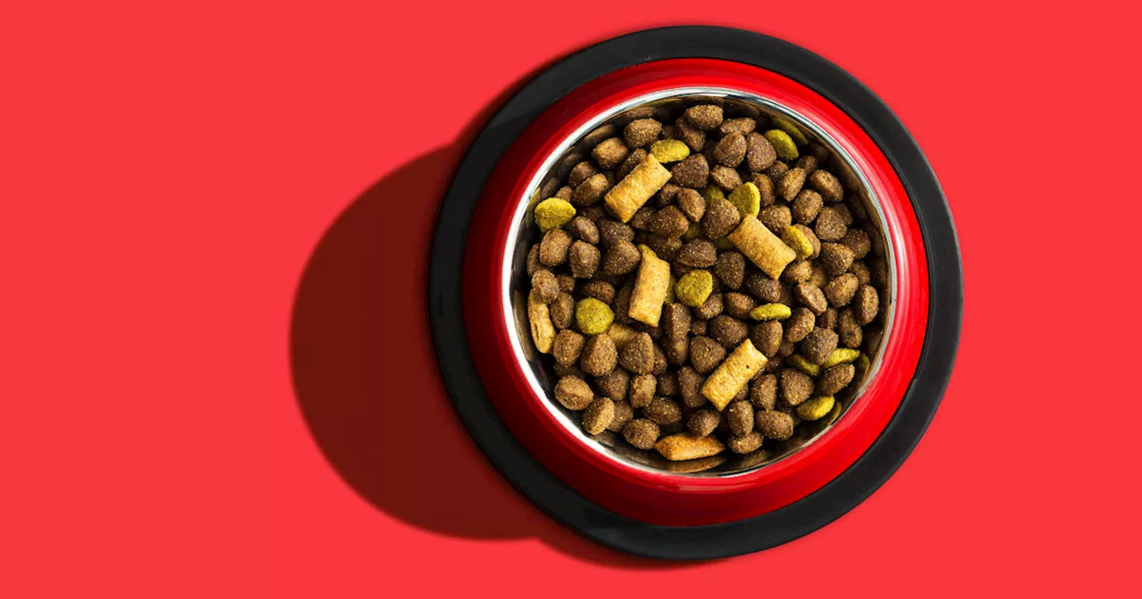 Pet Food Recall Due to Salmonella Outbreak