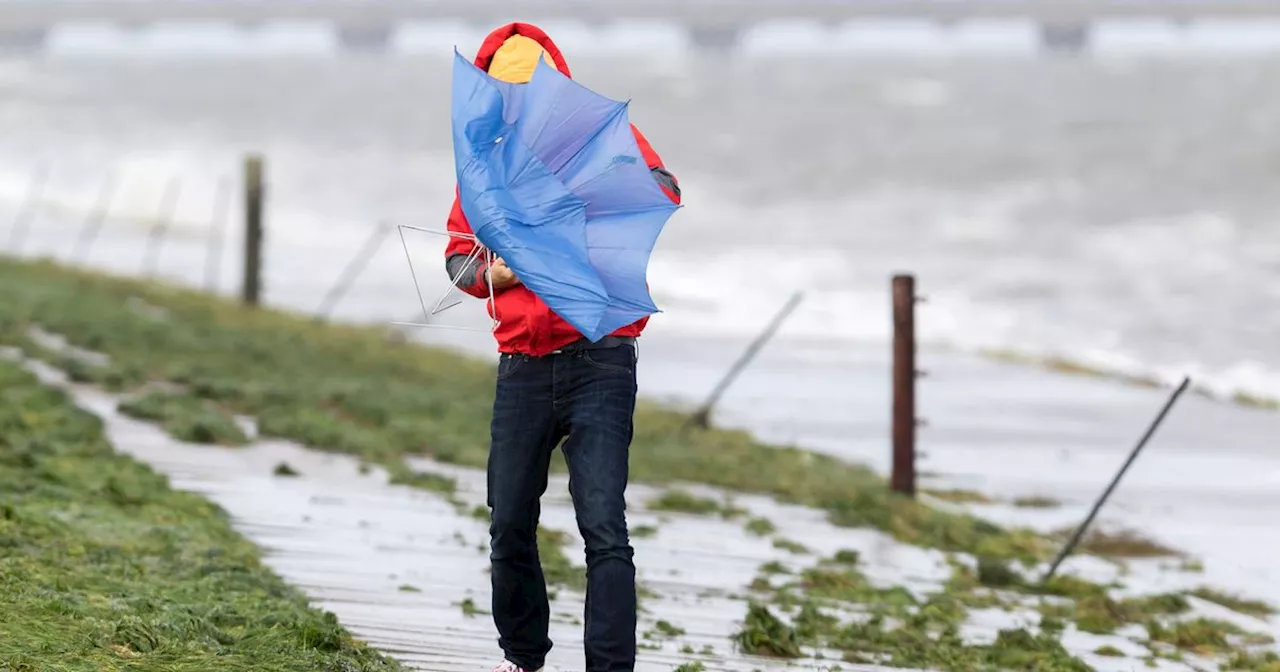 Ireland braces for 'intense' stormy weather with heavy rain and 'strong gusts'