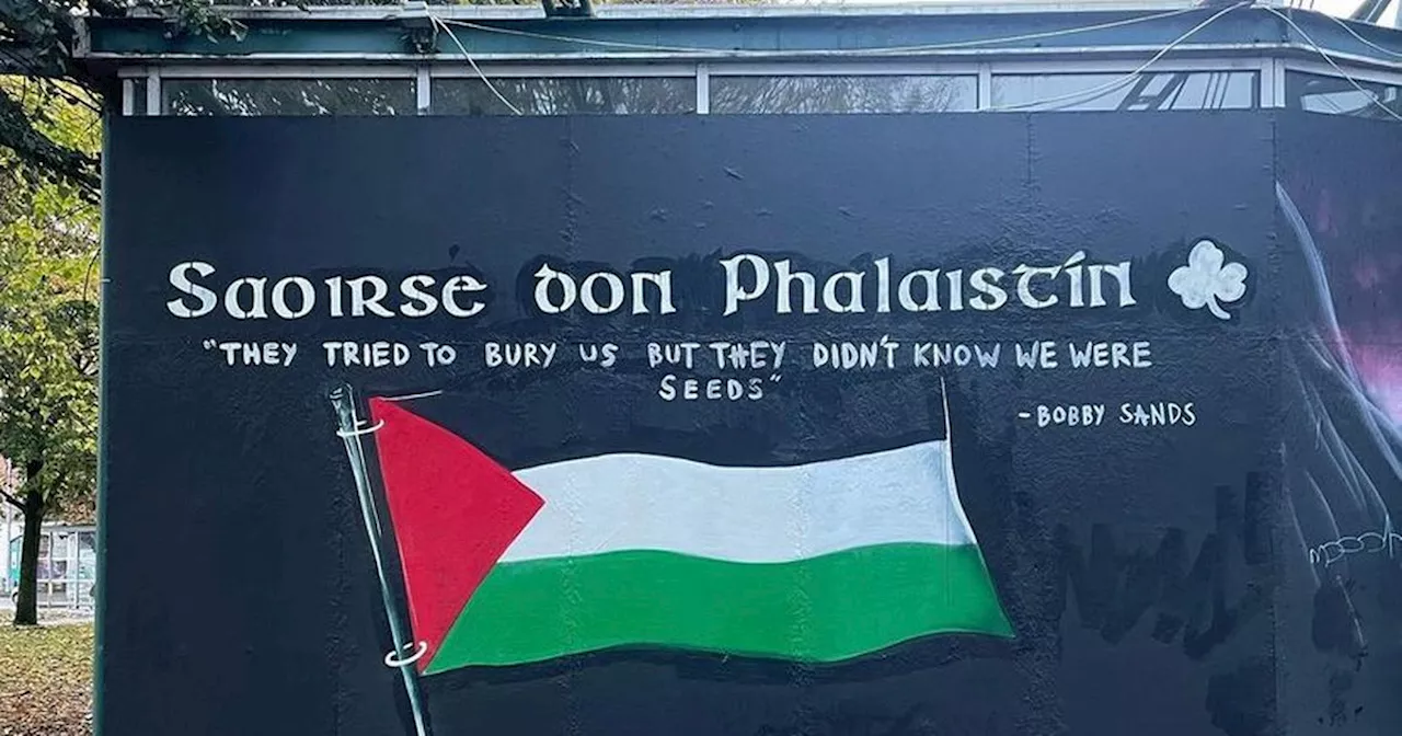 Limerick Artists Repaint Mural for Palestine After It Was Painted Over