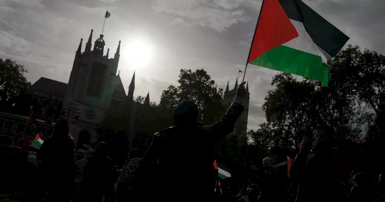 Pro-Palestine March in London Calls for Ceasefire