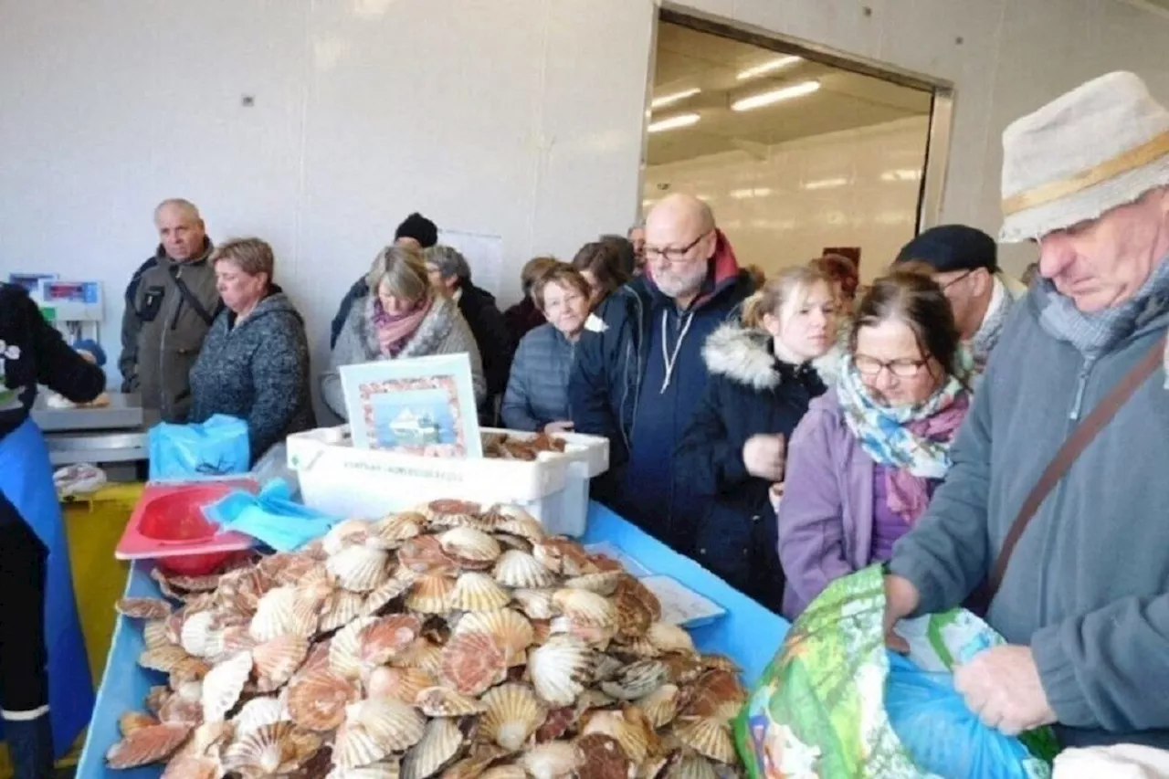 Fête de la coquille à Grandcamp-Maisy : quel programme pour cette 16e édition ?