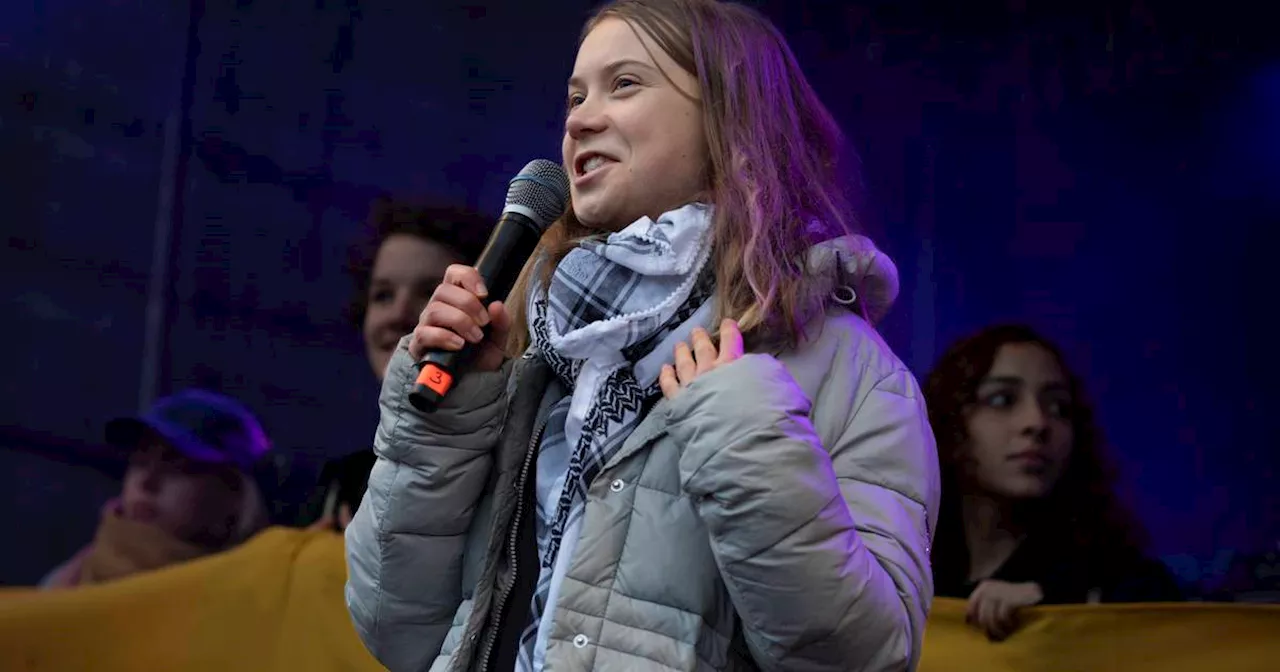 Greta Thunberg brushes off interruption at massive Dutch climate march days before election