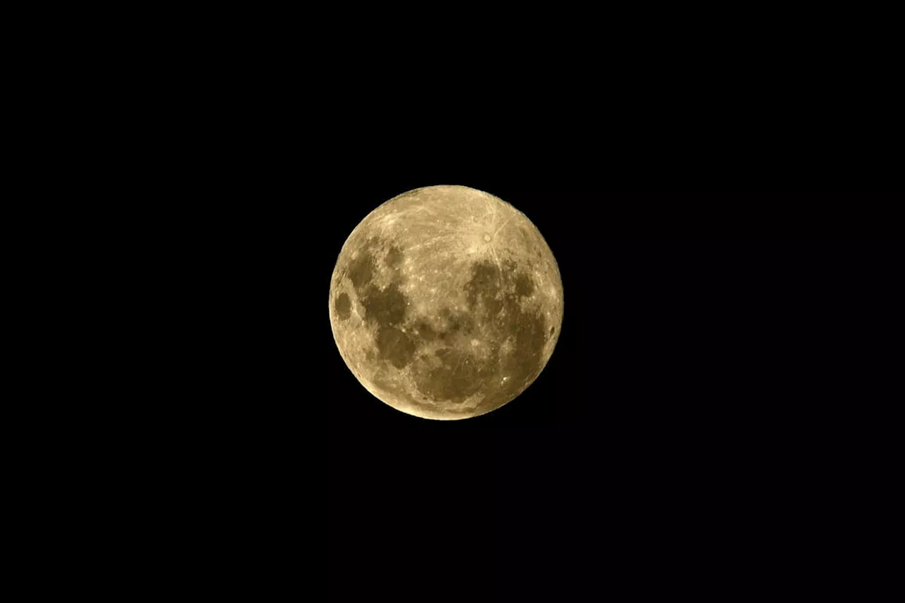 Nouvelle lune du 13 novembre : ce signe qui va connaître une vraie résurrection