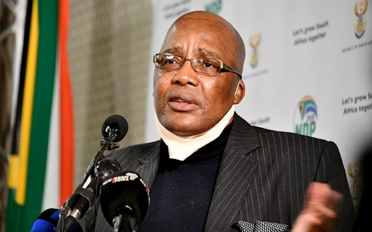 No mechanism of knowing how many undocumented migrants are in SA: Motsoaledi