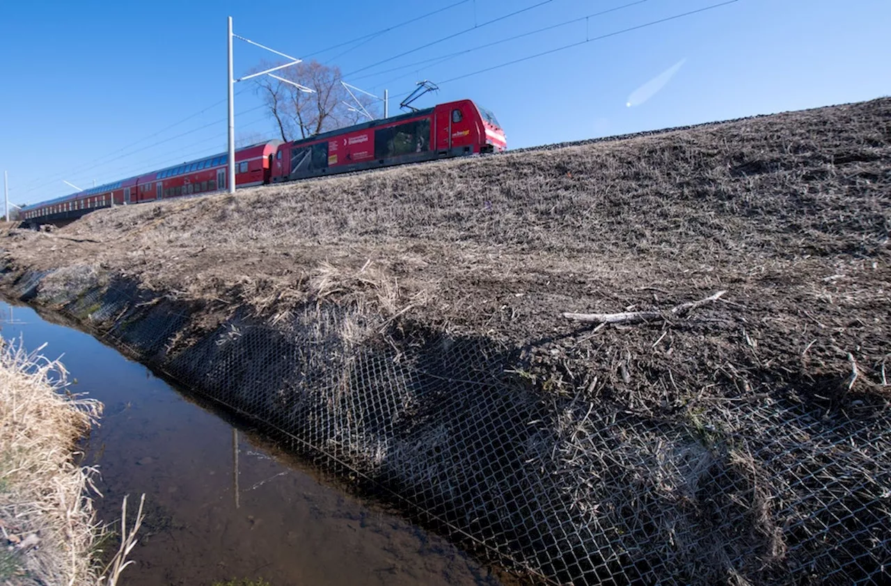 Ein Tier hat Schuld: Bahnstrecke in NRW wird jahrelang gesperrt